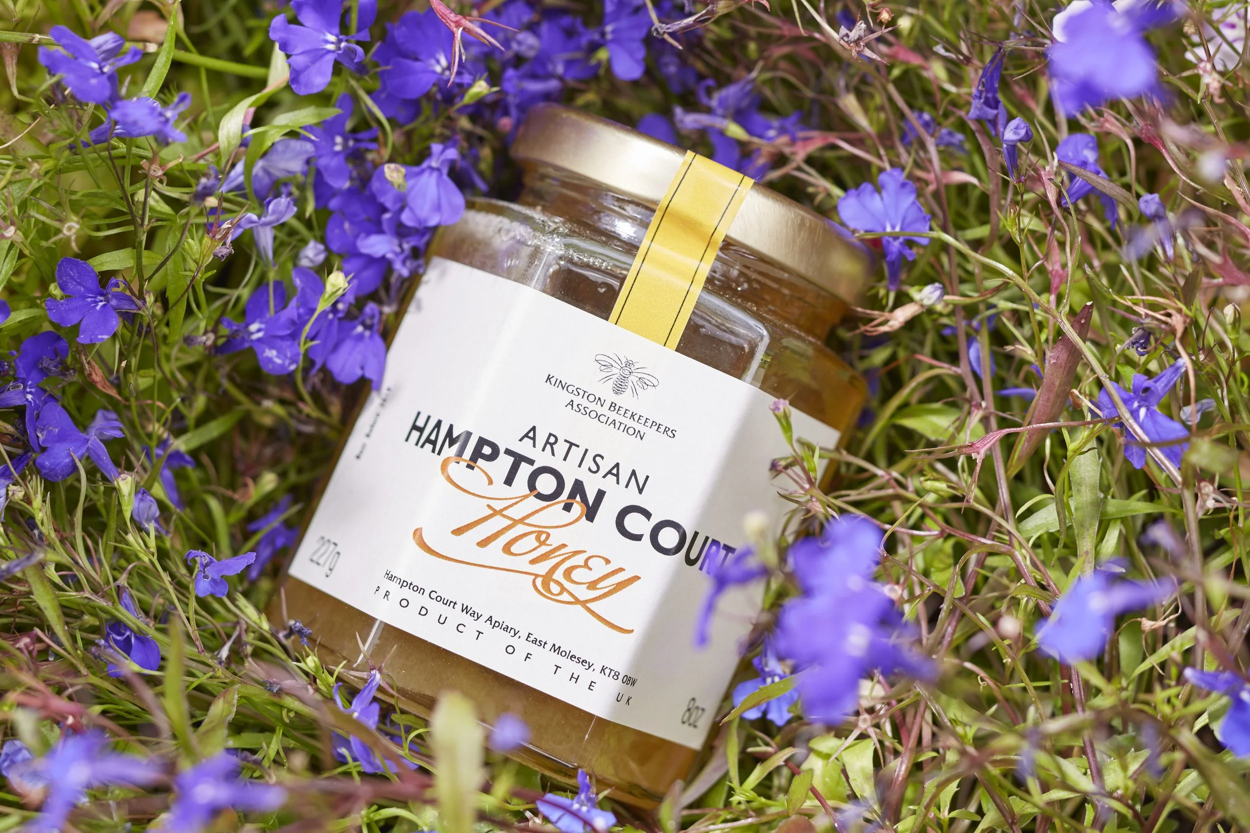 A jar of honey labeled 'Hampton Court Honey' surrounded by purple wildflowers.
