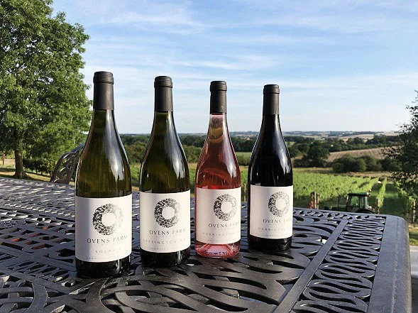 Four wine bottles on an outdoor table with a vineyard in the background.