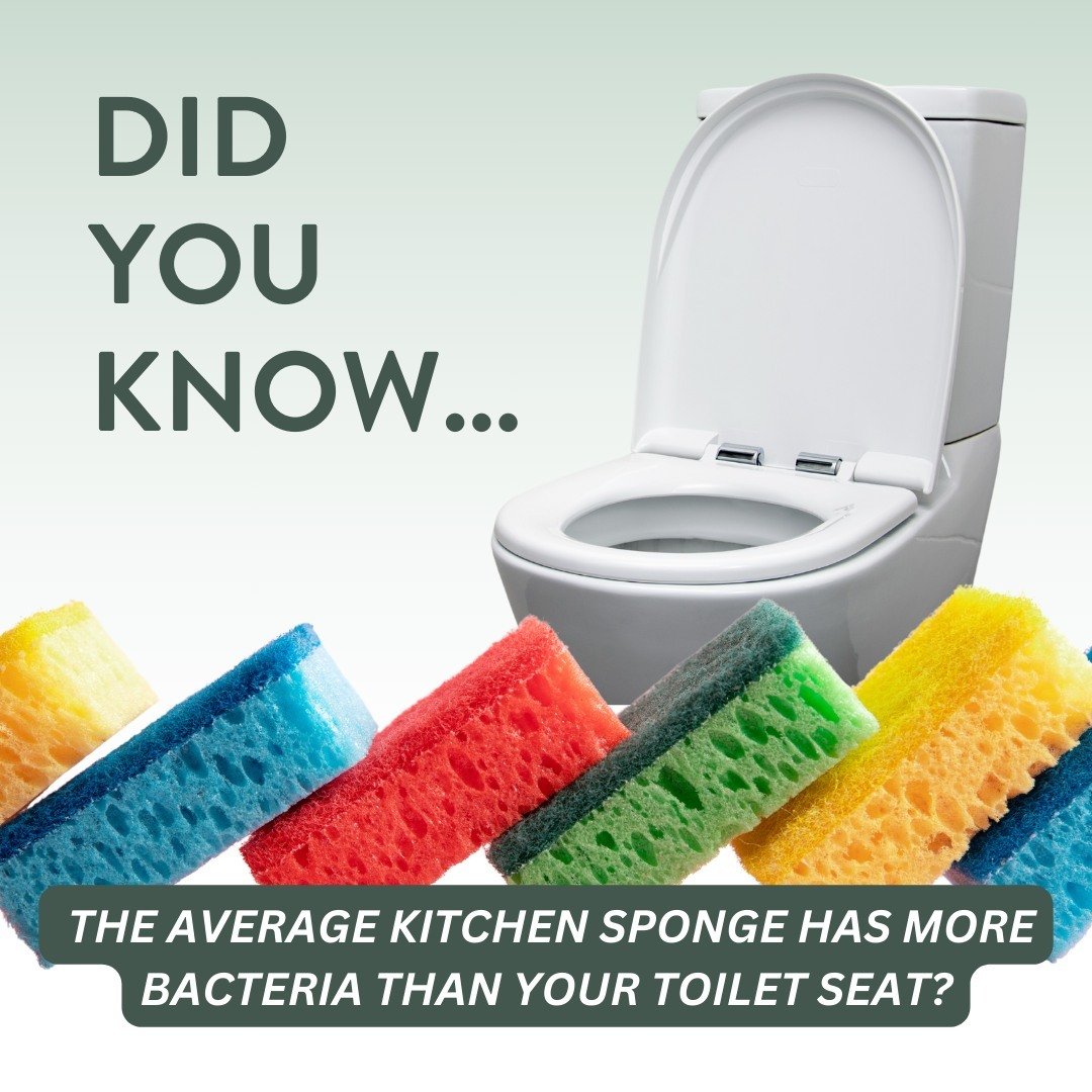 Did you know that the average kitchen sponge harbors more bacteria than your toilet seat? 🤢 Spring cleaning isn't just about decluttering; it's about creating a healthy and hygienic environment for you and your loved ones.

Let Green Cleaning give y