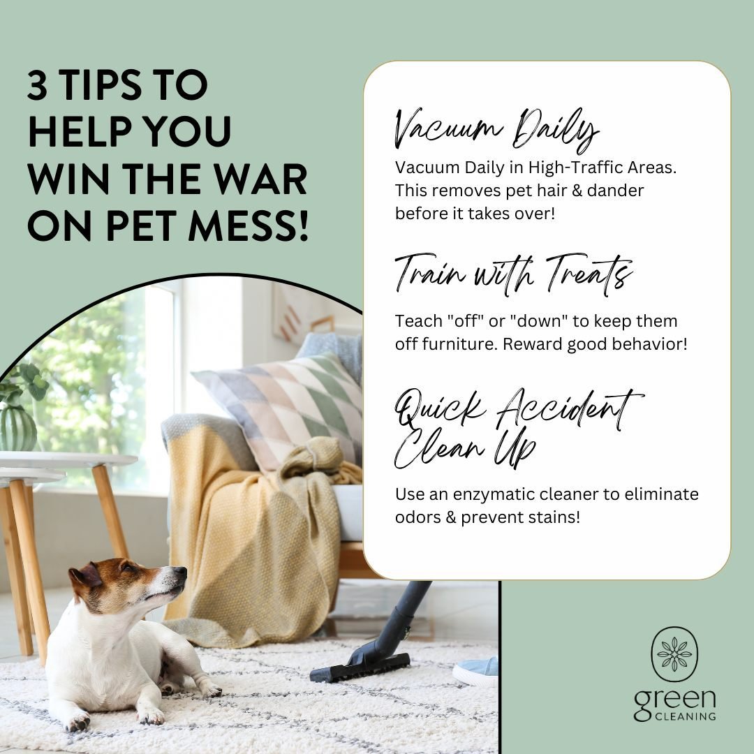 Ever feel like you just vacuumed, and then BAM, your furry friend rolls by and leaves a new coat behind?

Living with pets is amazing, but keeping pet hair and accidents under control can be a struggle.

Here are 3 tips to help you win the war on pet