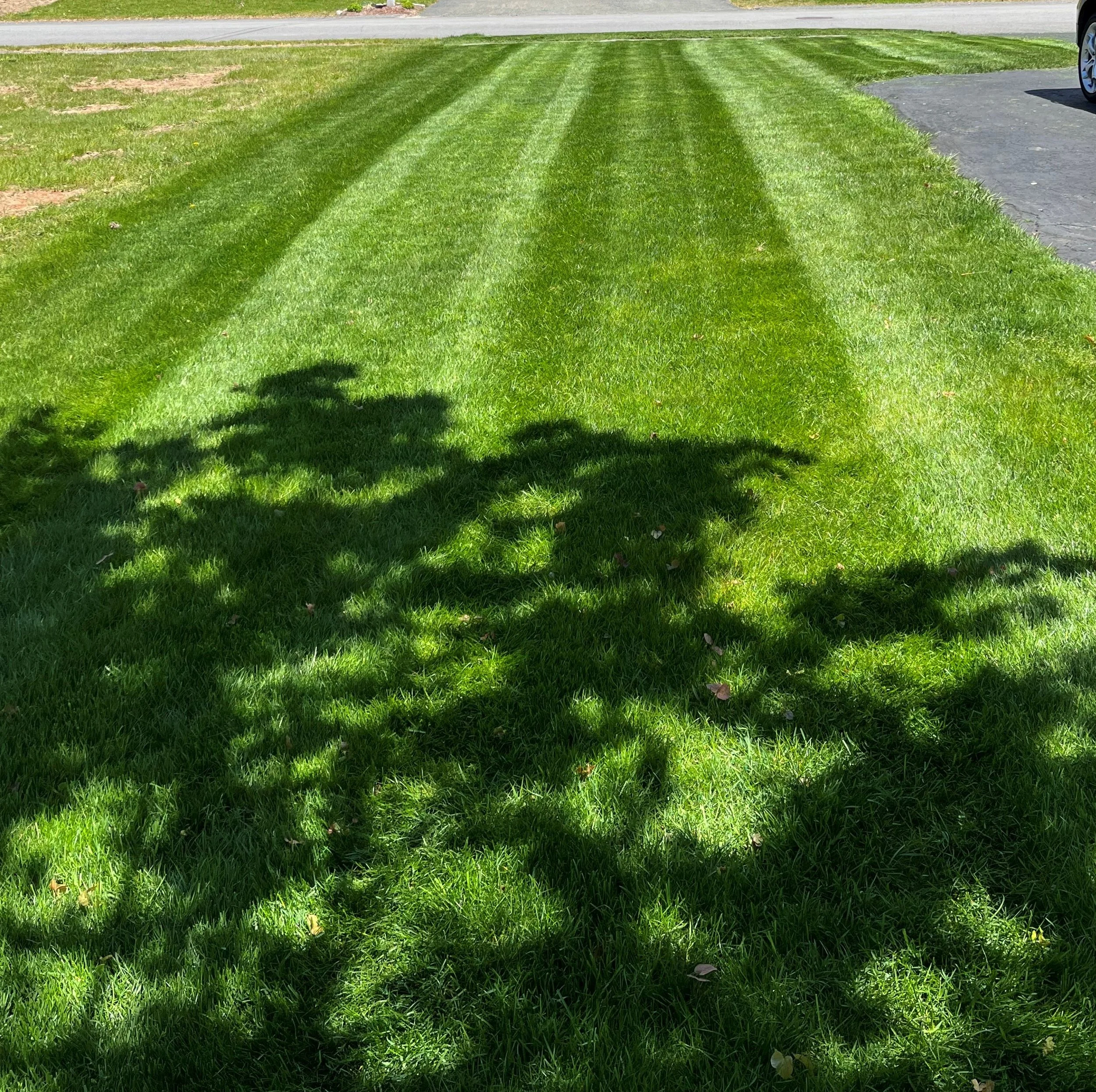 Lawn Mowing — Carefree Lawn Care Lawn Care Uxbridge, MA