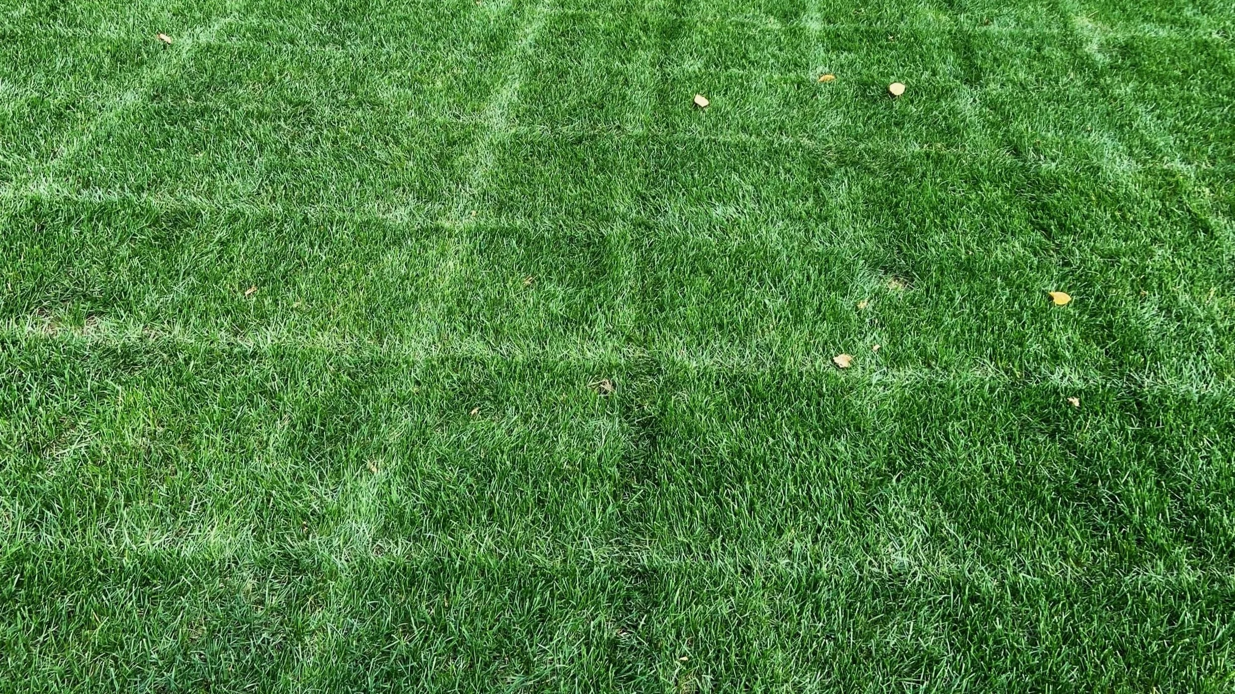 Carefree Lawn Care Lawn Care Uxbridge, MA