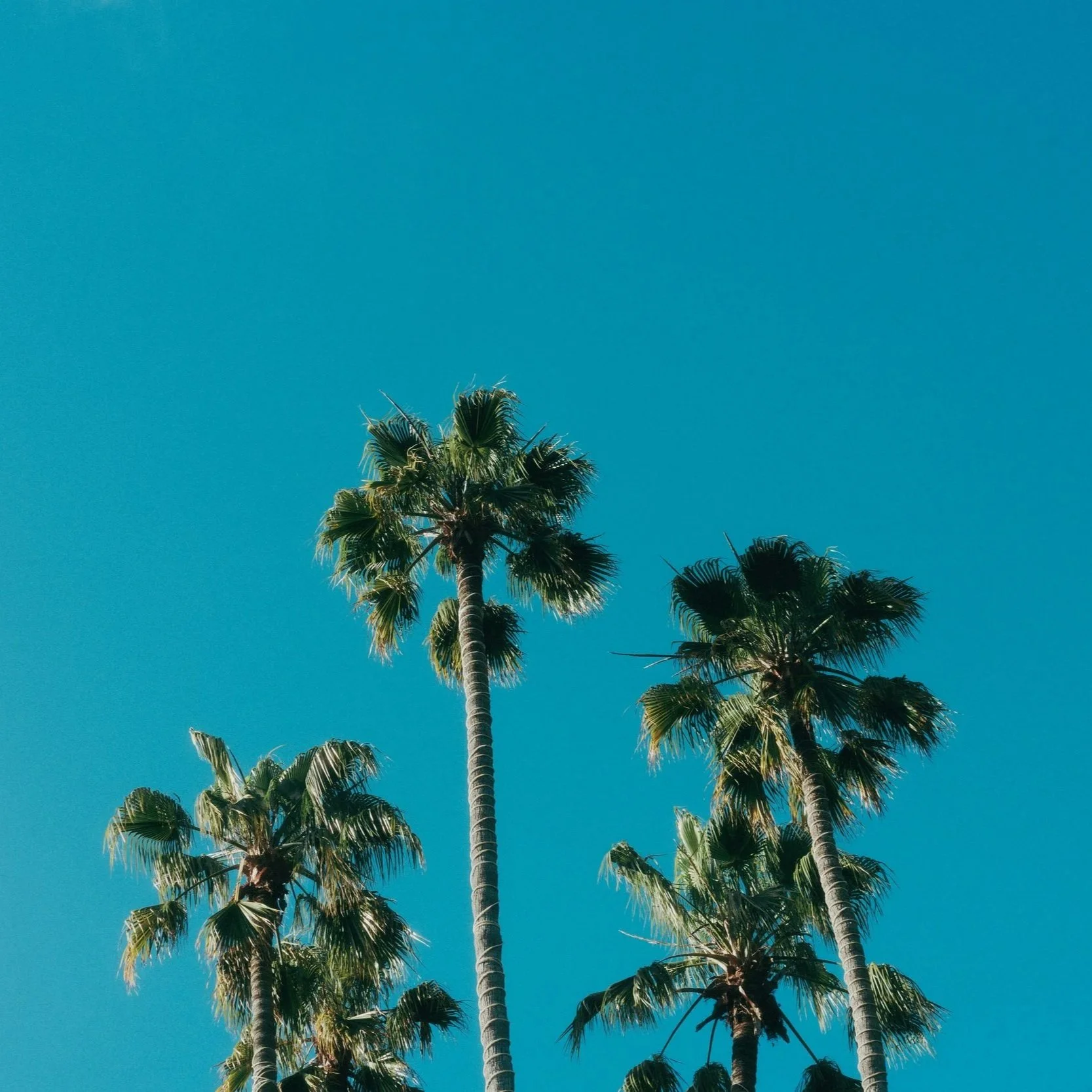 The Recorder: Lateral Partner Hiring in California Softened During the First Quarter