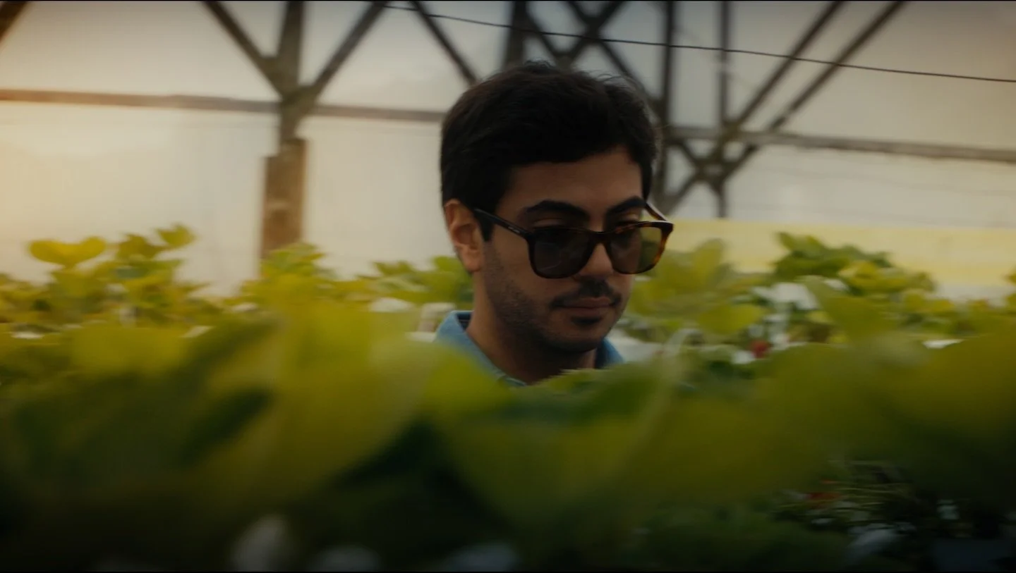 Stills from a short film I shot on a trip to Malaysia