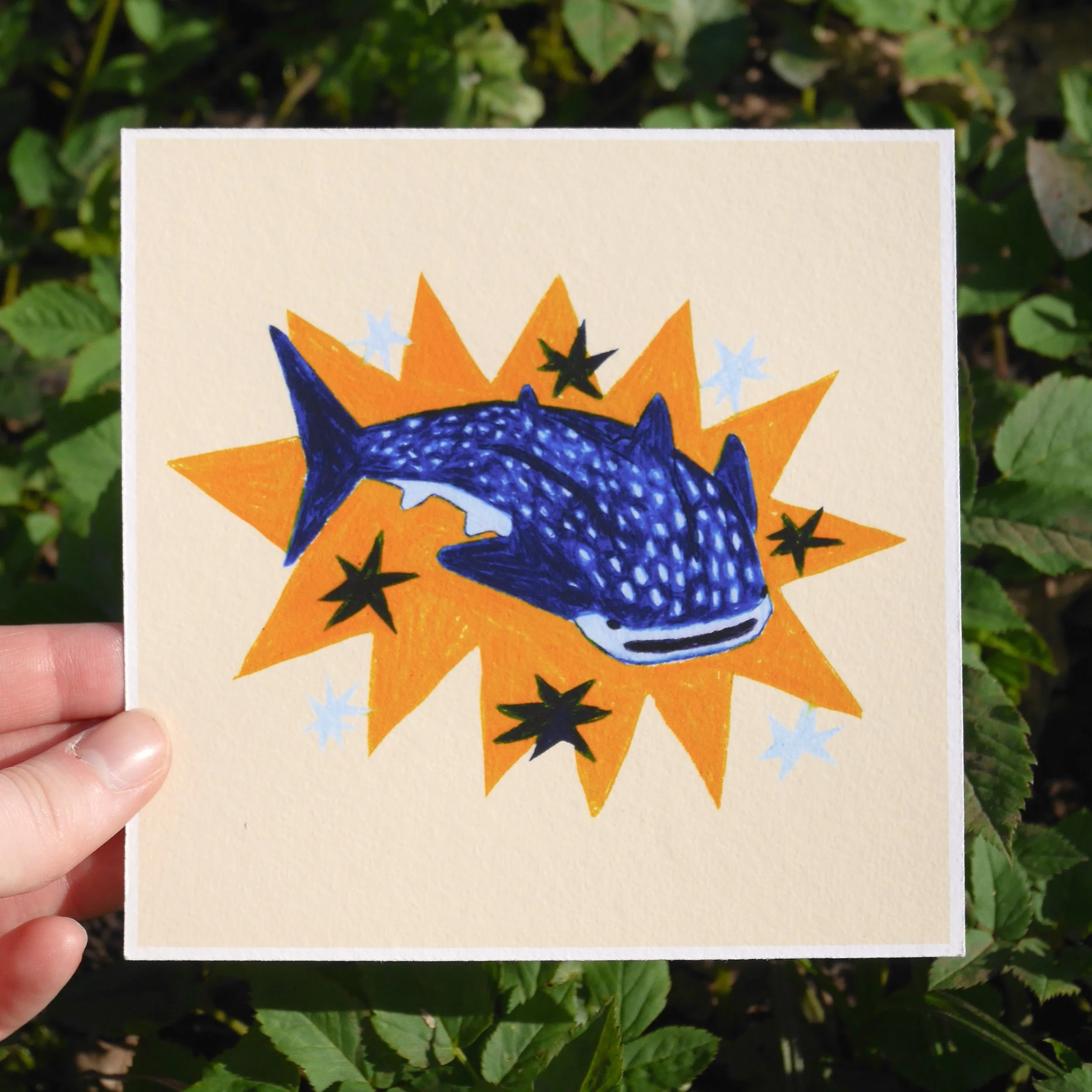 Whale Shark Print