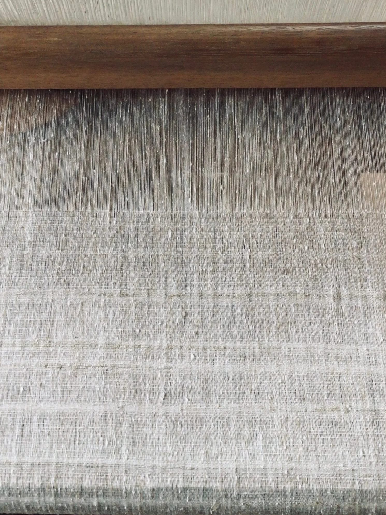Chestnut silk — table runner in the making.

 Kurimayu cloth taking shape on the handloom. The silk comes from silkworms fed exclusively on chestnut leaves, giving it a luster and weight only this material can carry. Each piece is woven slowly, by ha