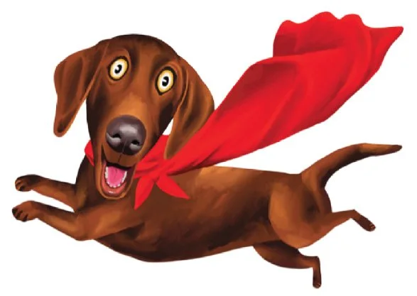 Bounce10 Starter Kit - SERVICE