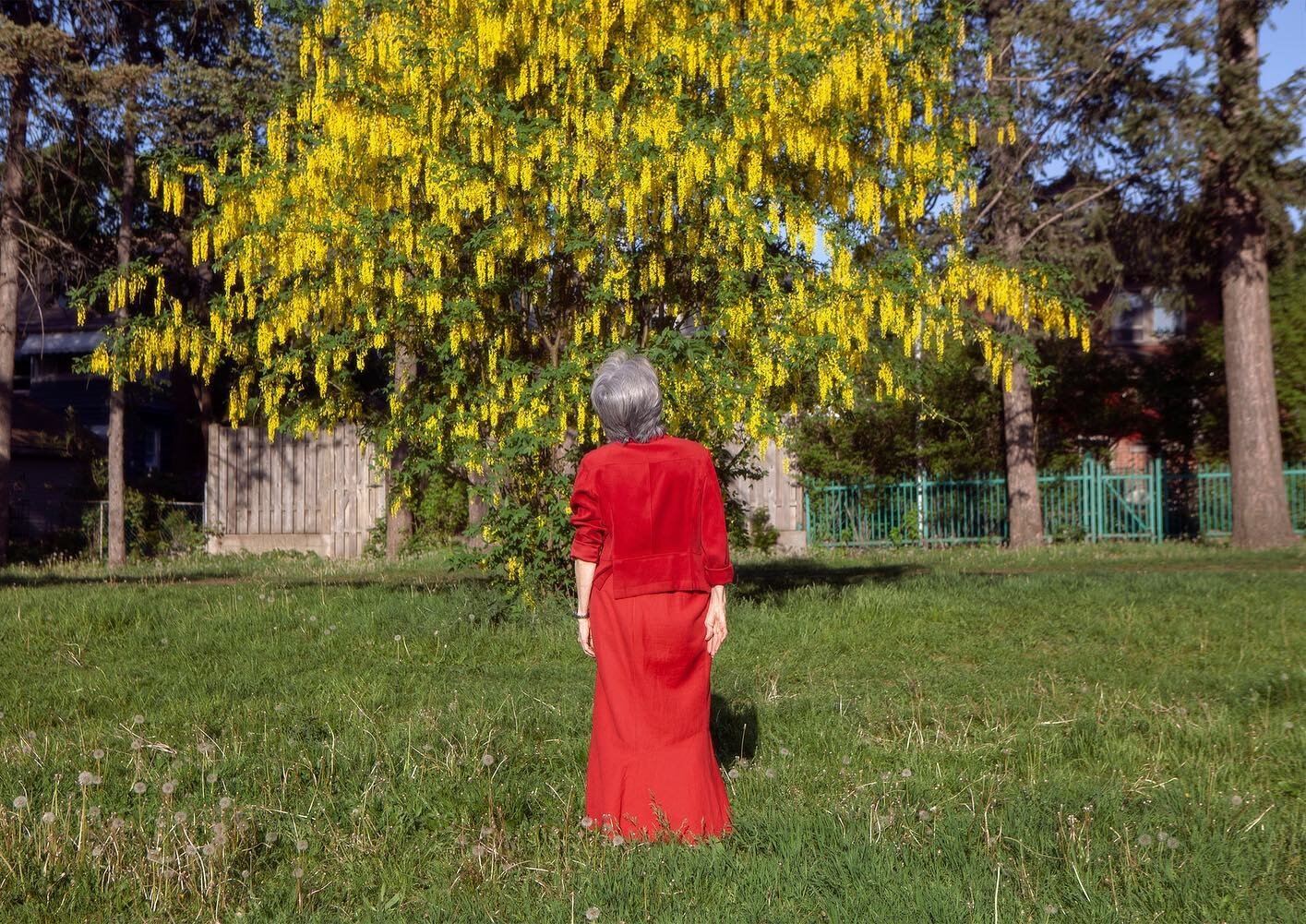 Hiii 👋 A project I&rsquo;ve worked on for the past 2 years (but actually 10) is being featured in this month's issue of The Walrus!

~

It started in my 20's, where I began to discreetly take photos of older women, just w my phone. I wasn't aware I 