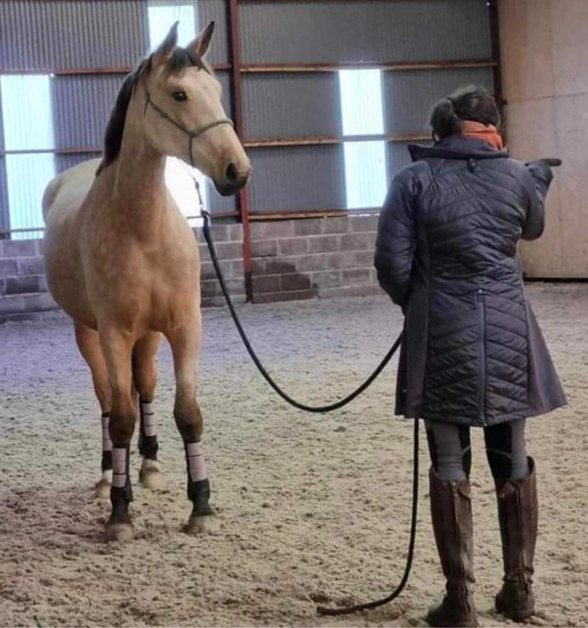 gallery-south-brent-riding-club