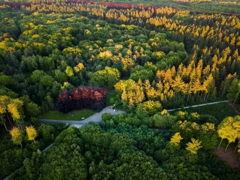Notenbomen in de praktijk: op stap met Mark Shepard