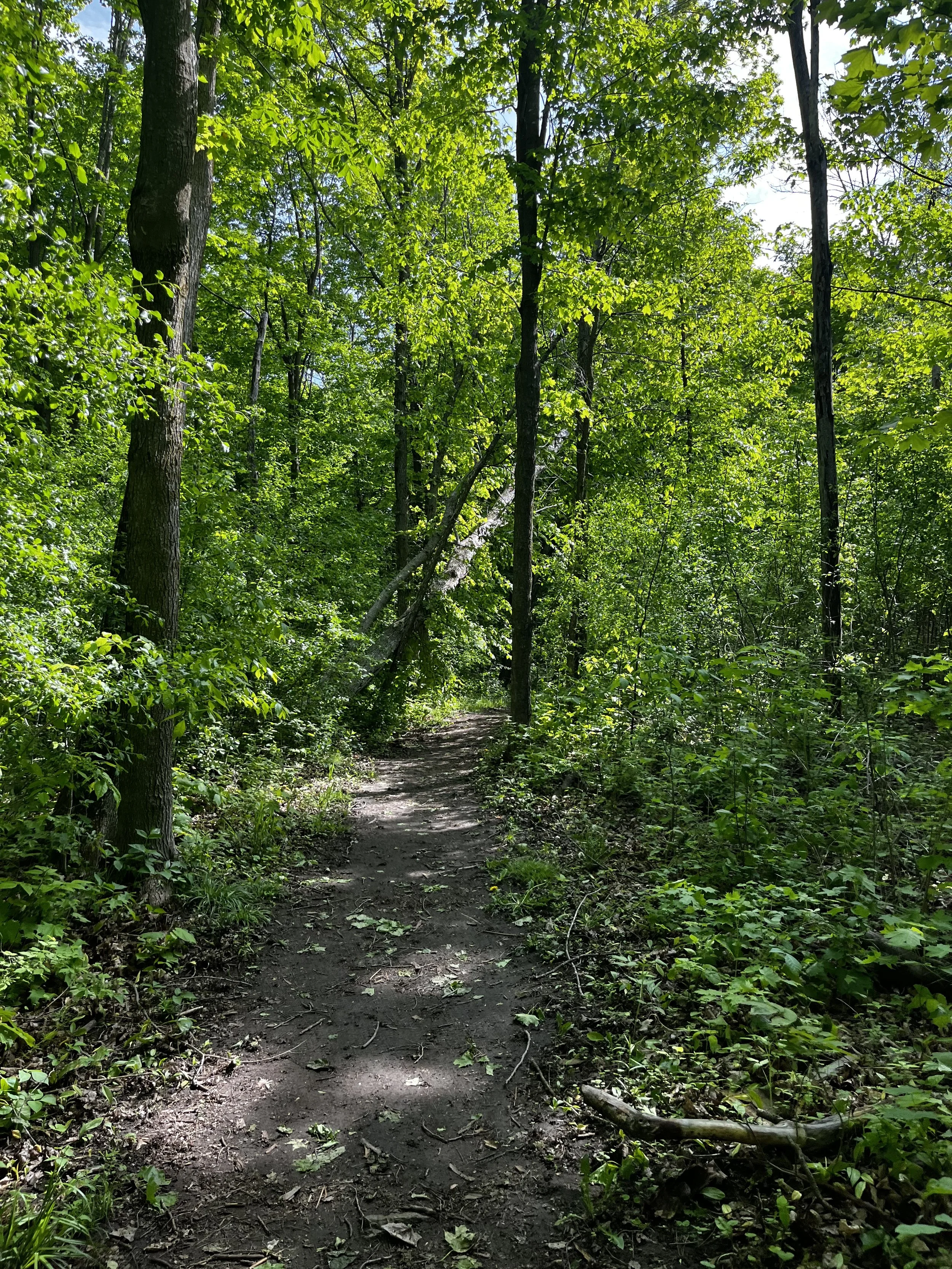 Sheila McKee Memorial Park - Dunrobin, ON
