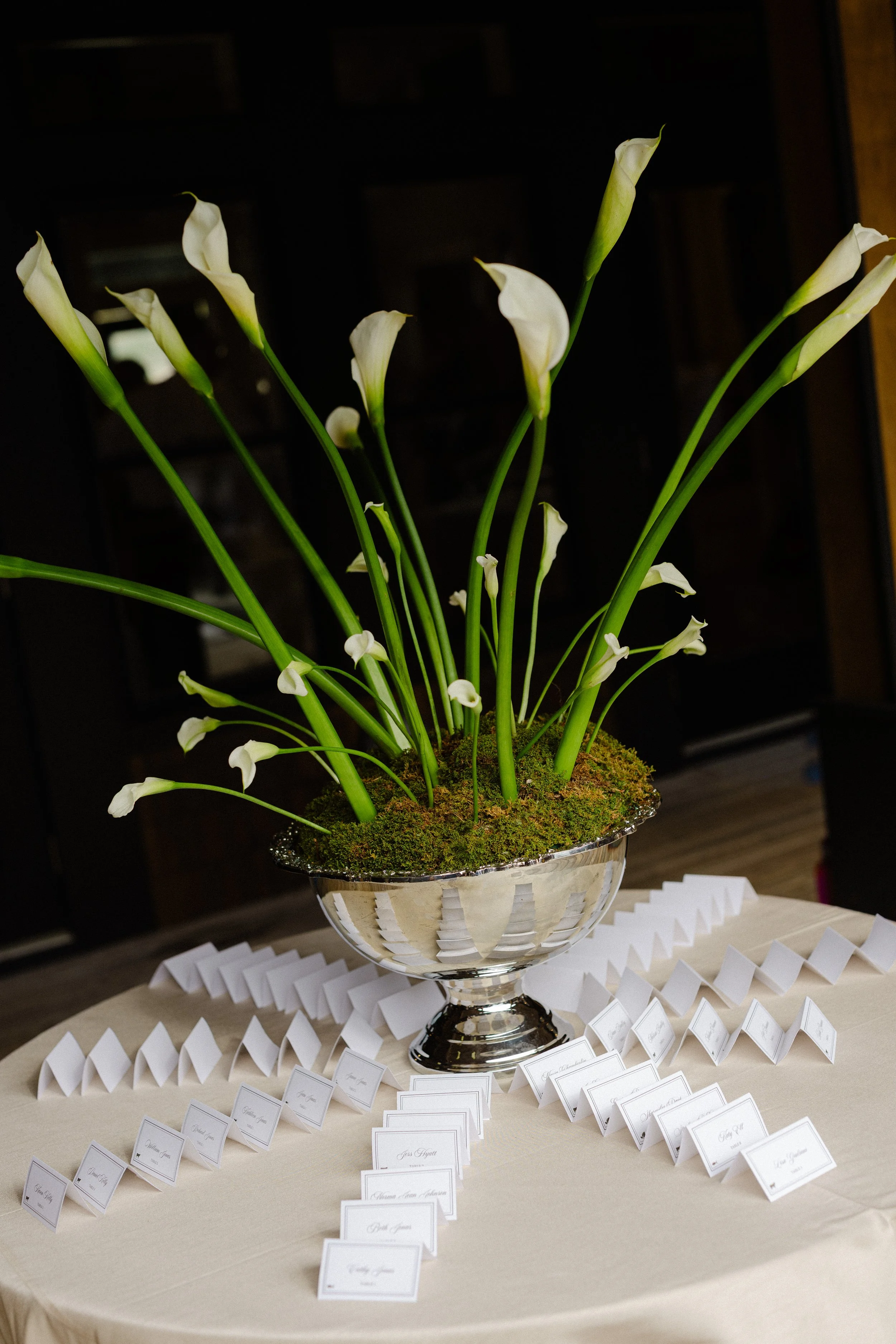 wedding-858.jpg