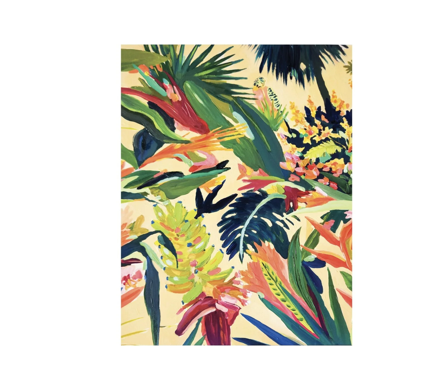 PARAKEET PALMS