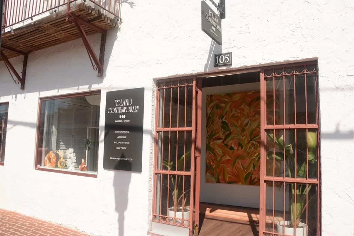 A YEAR ON FITZPATRICK STREET