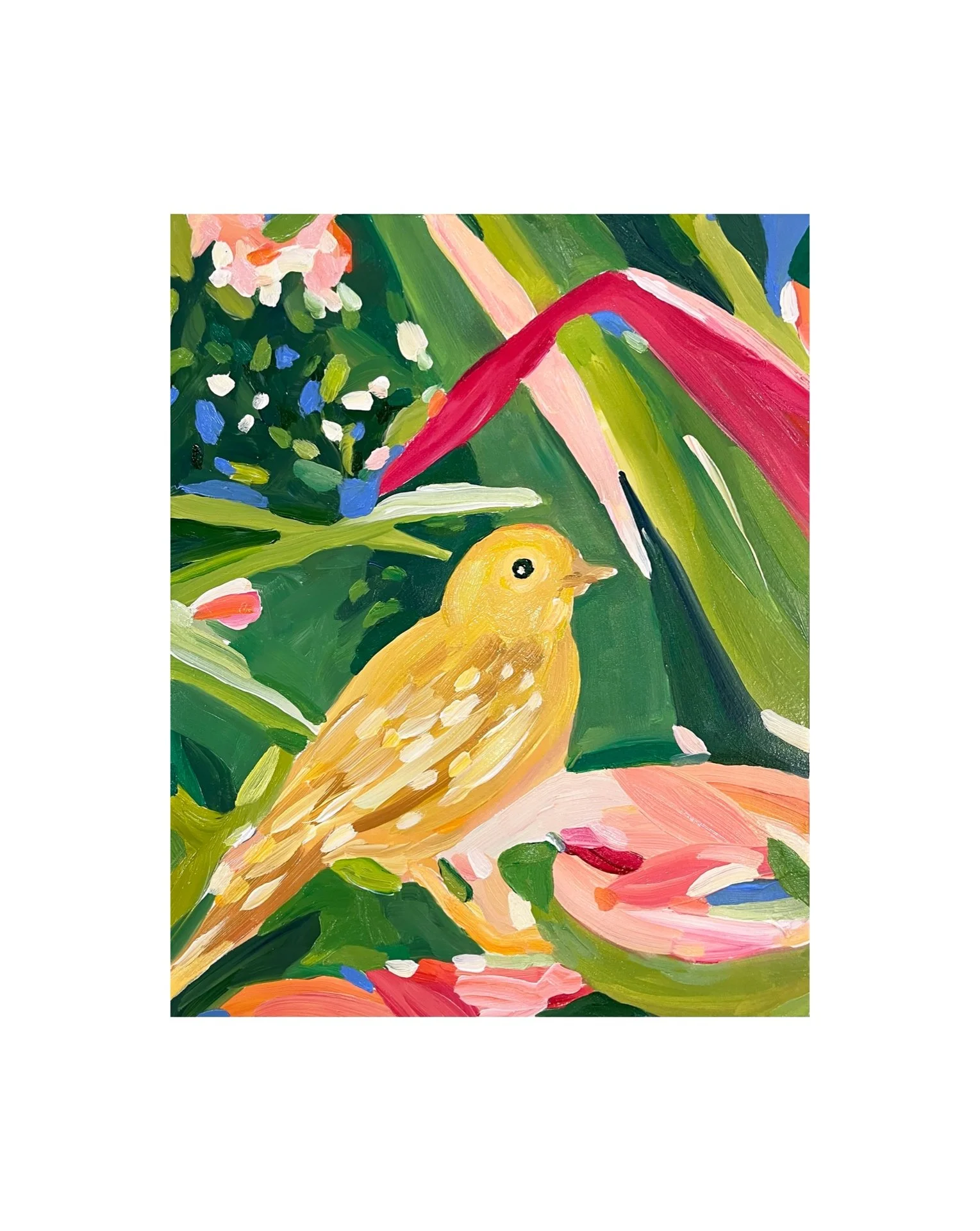 ISLAND CANARY
