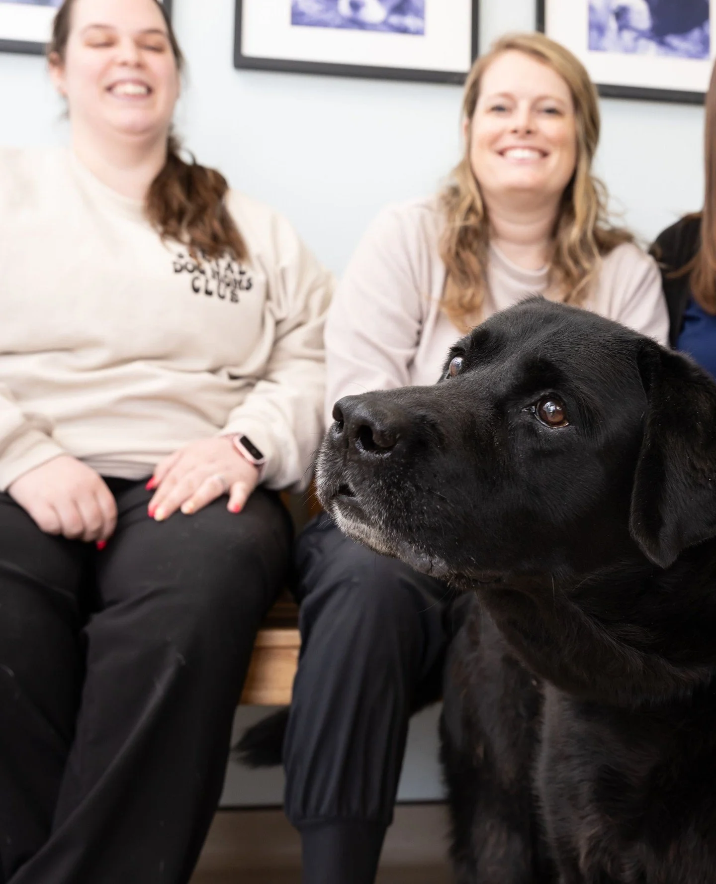 Behind every wagging tail is a dedicated vet team! 🩺🐕 #BestFriendsDeserveTheBest #VetLove
