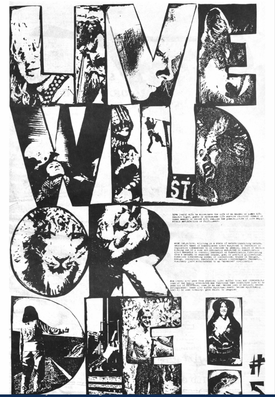 Screen Shot 2021-05-20 at 12.04.16 PM.png