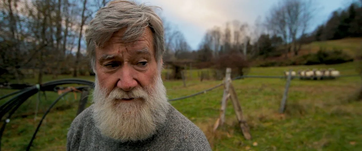 Peter_HillSheep.jpg