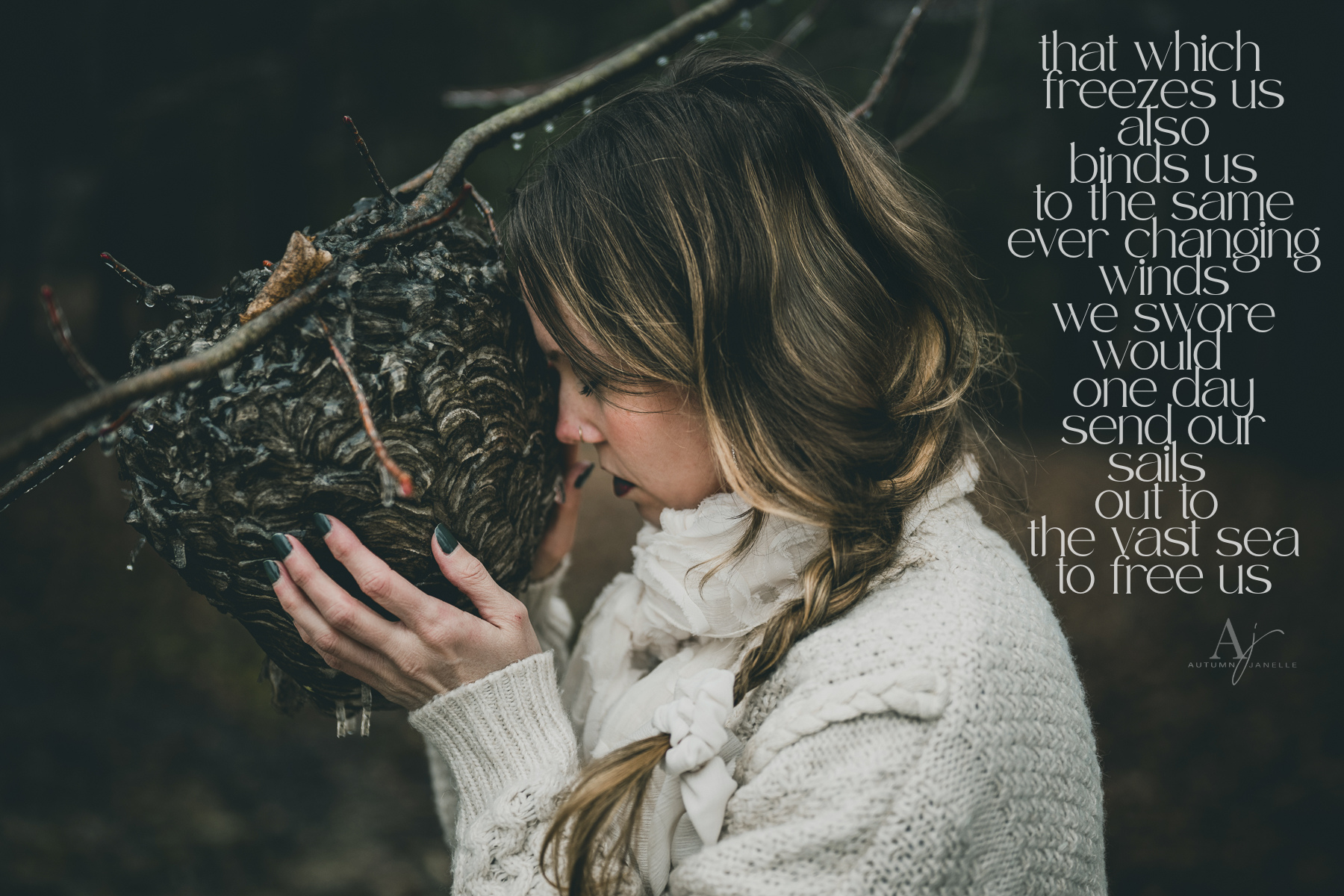 the awaited thaw : your permission to rebel, with whimsy