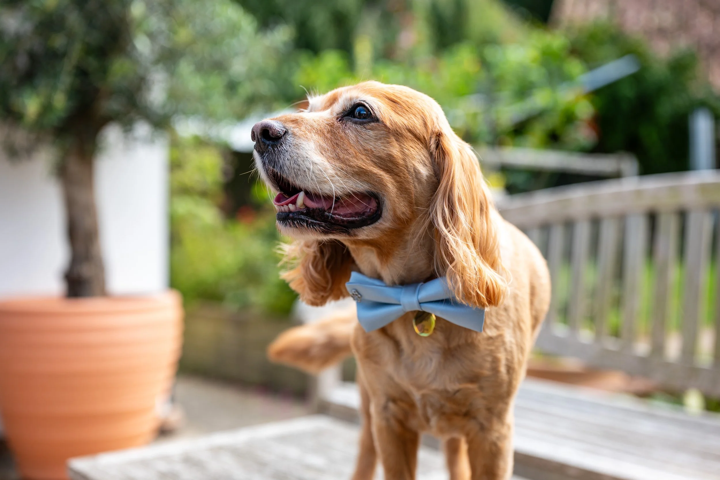 07 September 12-37-03.jpg