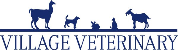 Village Veterinary