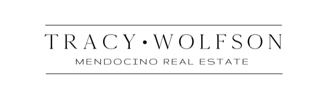 Tracy Wolfson Real Estate 