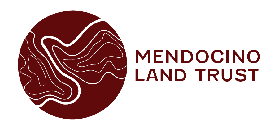sm_red_logo (1).png