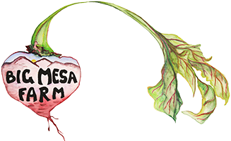 Big Mesa Farm