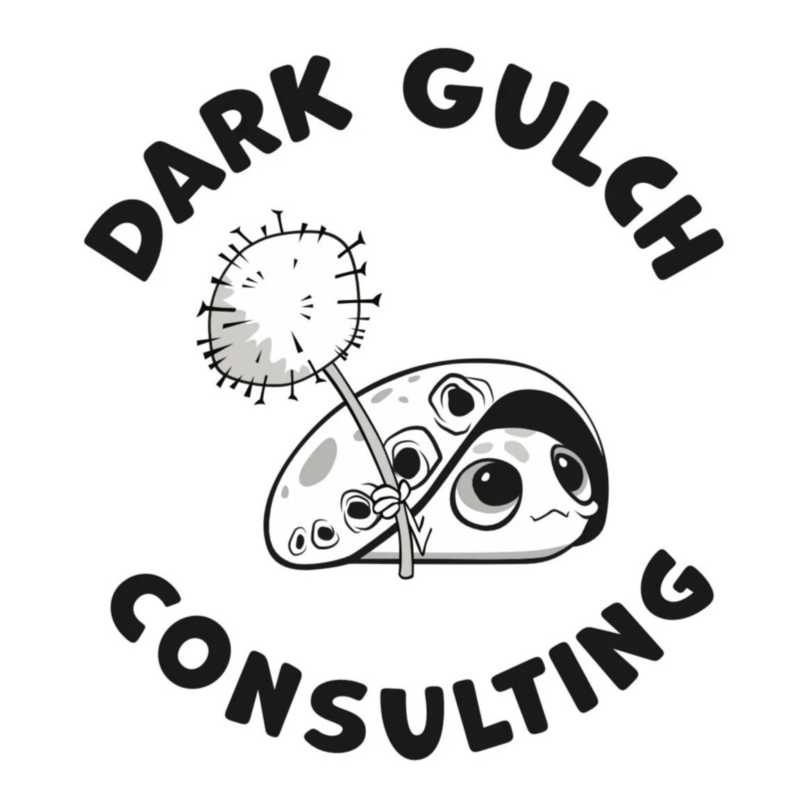 Dark Gulch Consulting