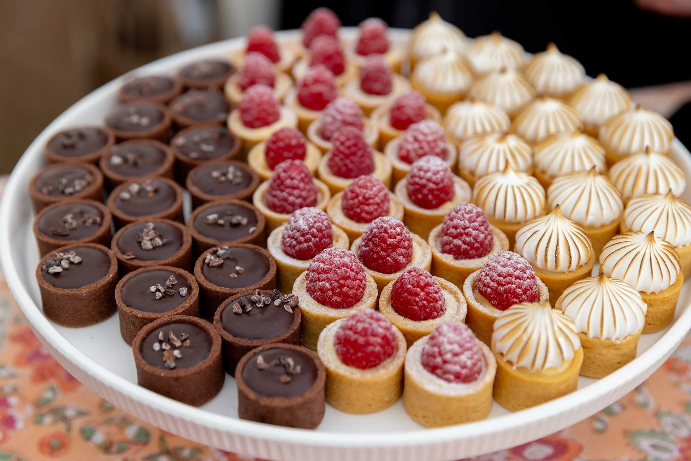 jperlmanphotography_mendocinofilmfestival-3N9A1874.jpg