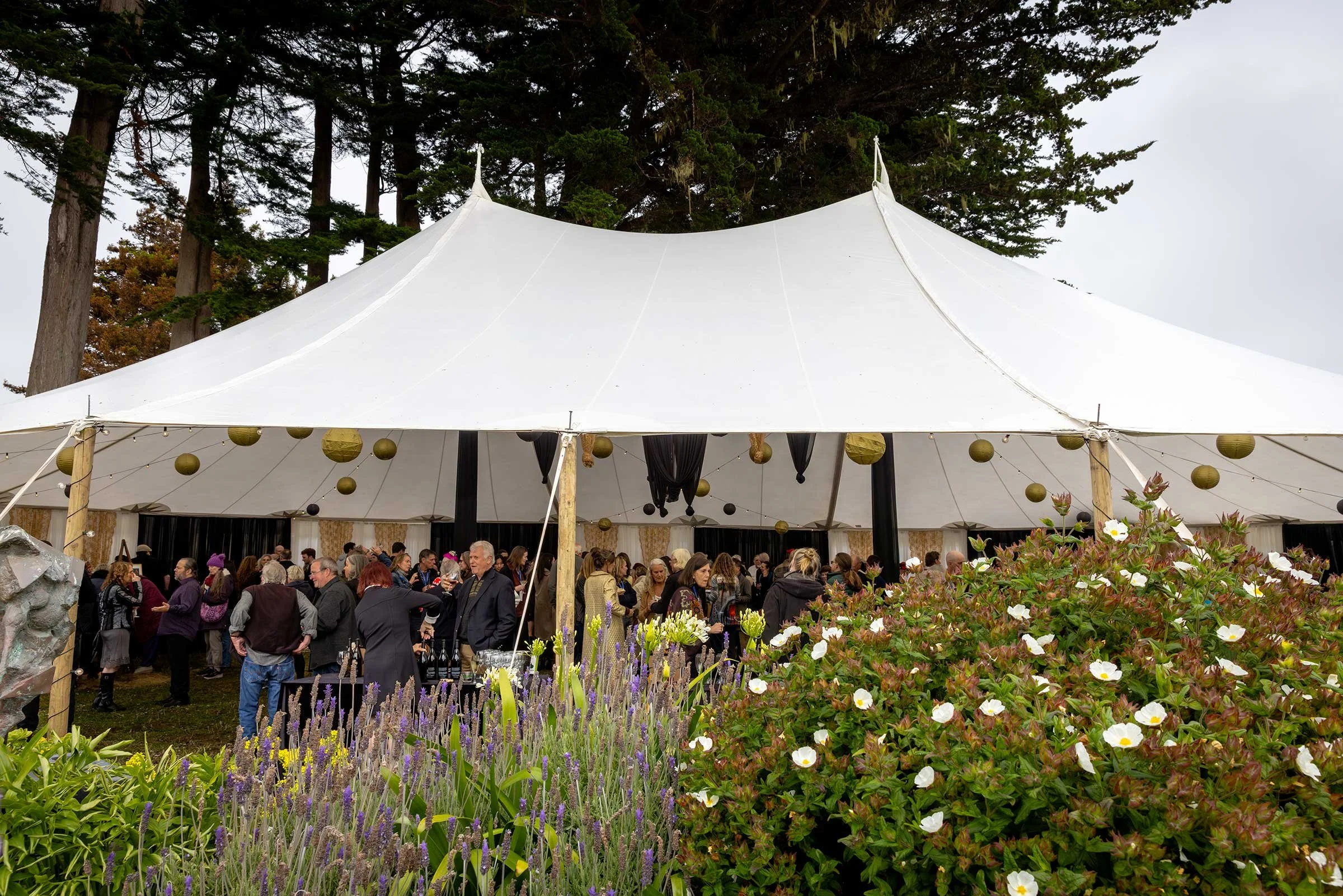 jperlmanphotography_mendocinofilmfestival-3N9A2008.jpg
