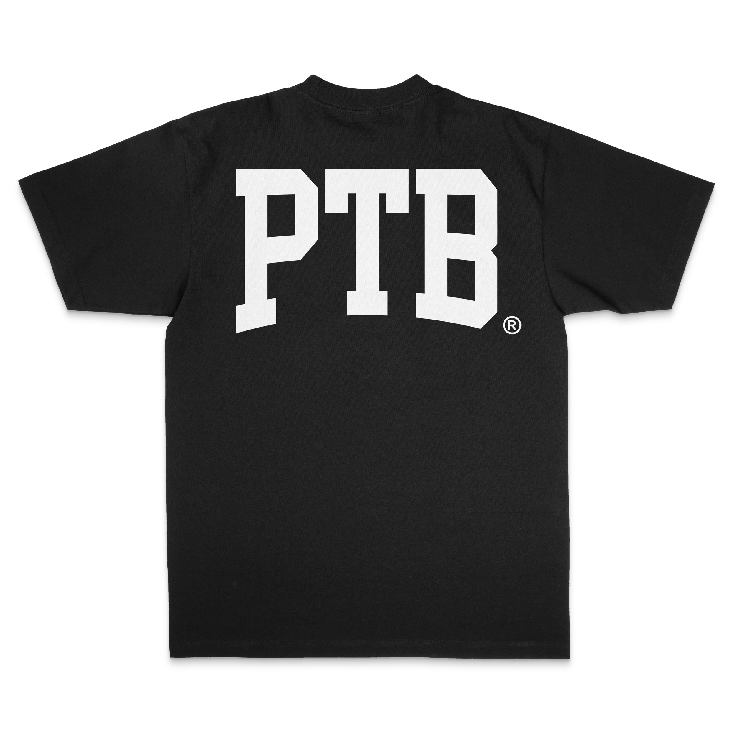 PTB Arch Tee Mockup v2 Back.jpg