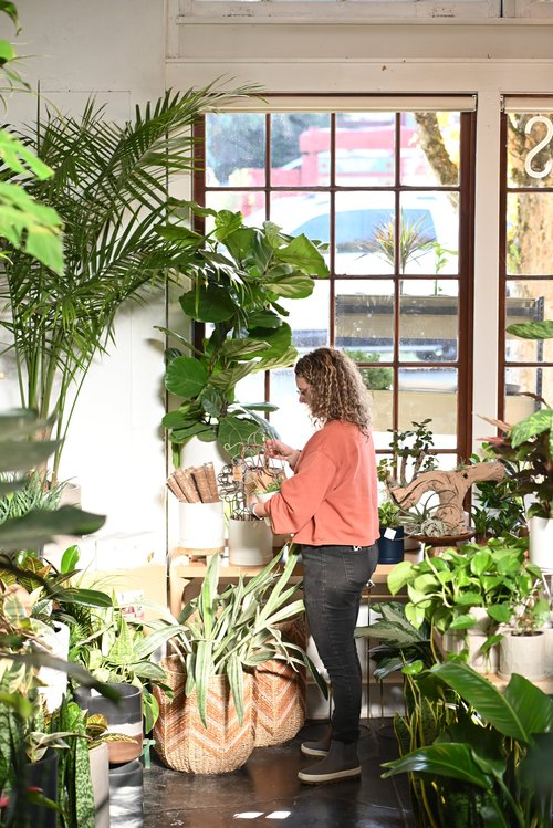 Potted in Portland | Your Local Plant Shop & Plant Care Experts