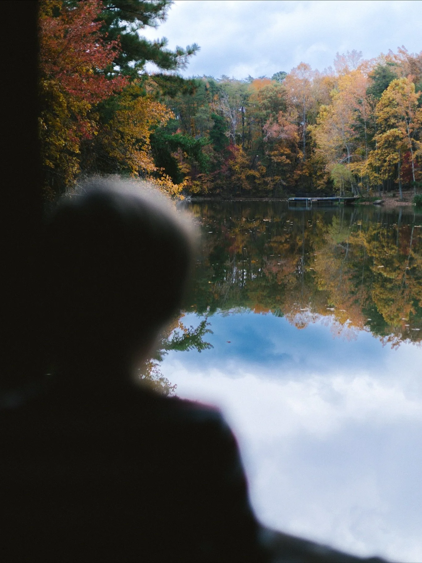 Springtime in reverse.

Canon 5D Mark IV &mdash; 11.07.25