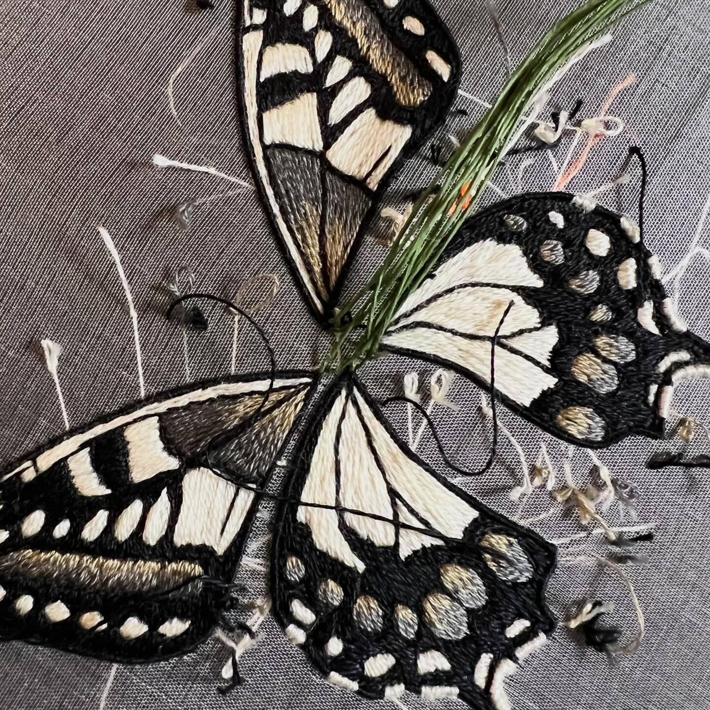 Working on something super exciting 💛 any ideas what this might be? 🧡

#butterfly #butterflygarden #handembroidery #handembroidered #spring #floral #goldworkembroidery #stumpworkembroidery #handandlock #nature #stitch #sewing #embroidery #embroider