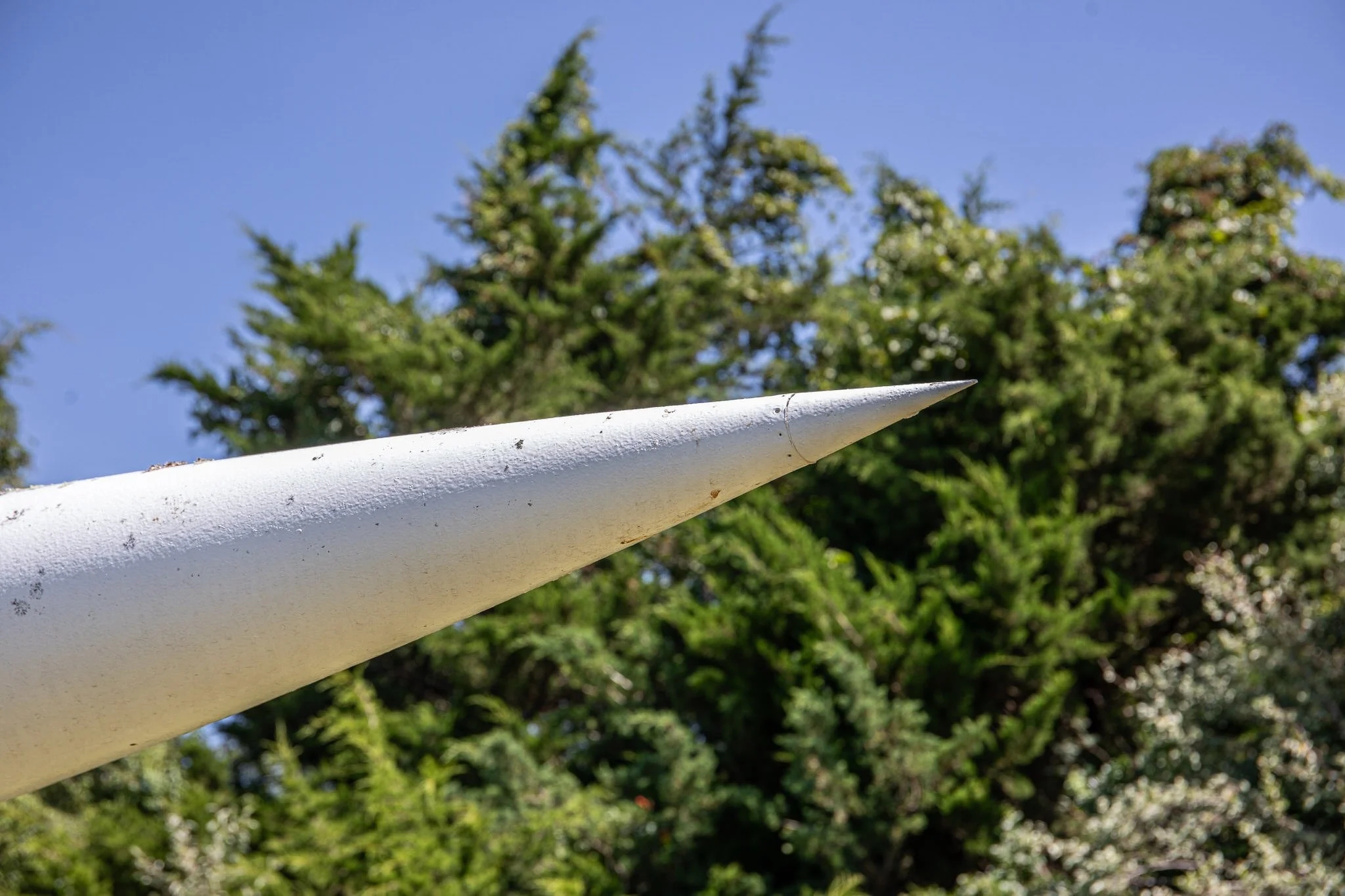 CRH_7732-1.jpg