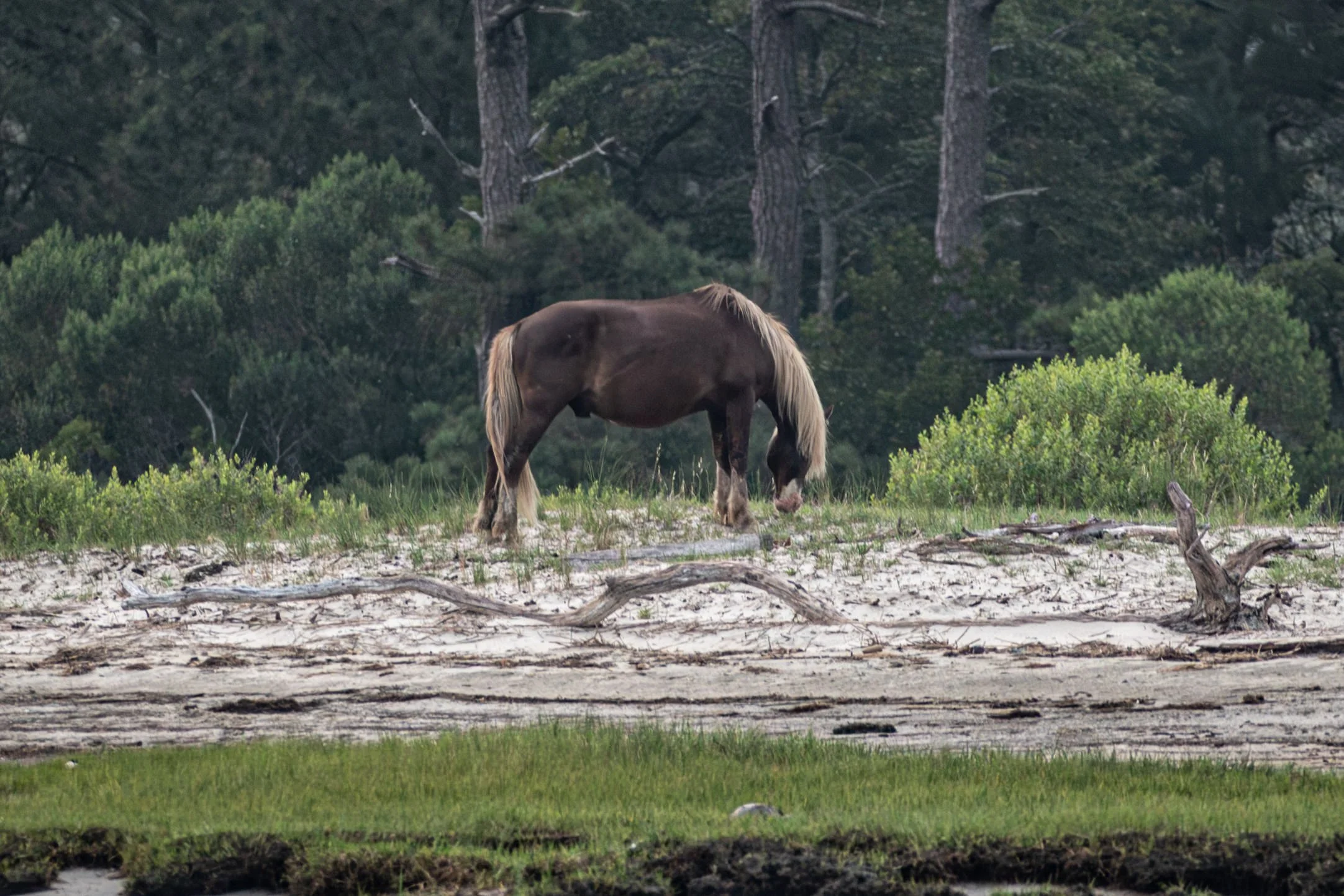 Holensworth-July 17, 2026061854-2.jpg