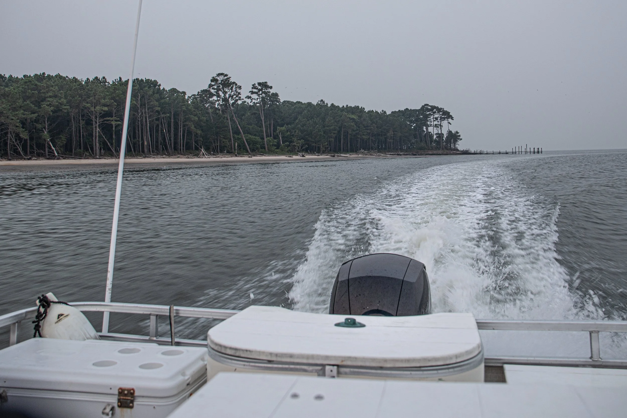 Holensworth-July 17, 2026061629.jpg