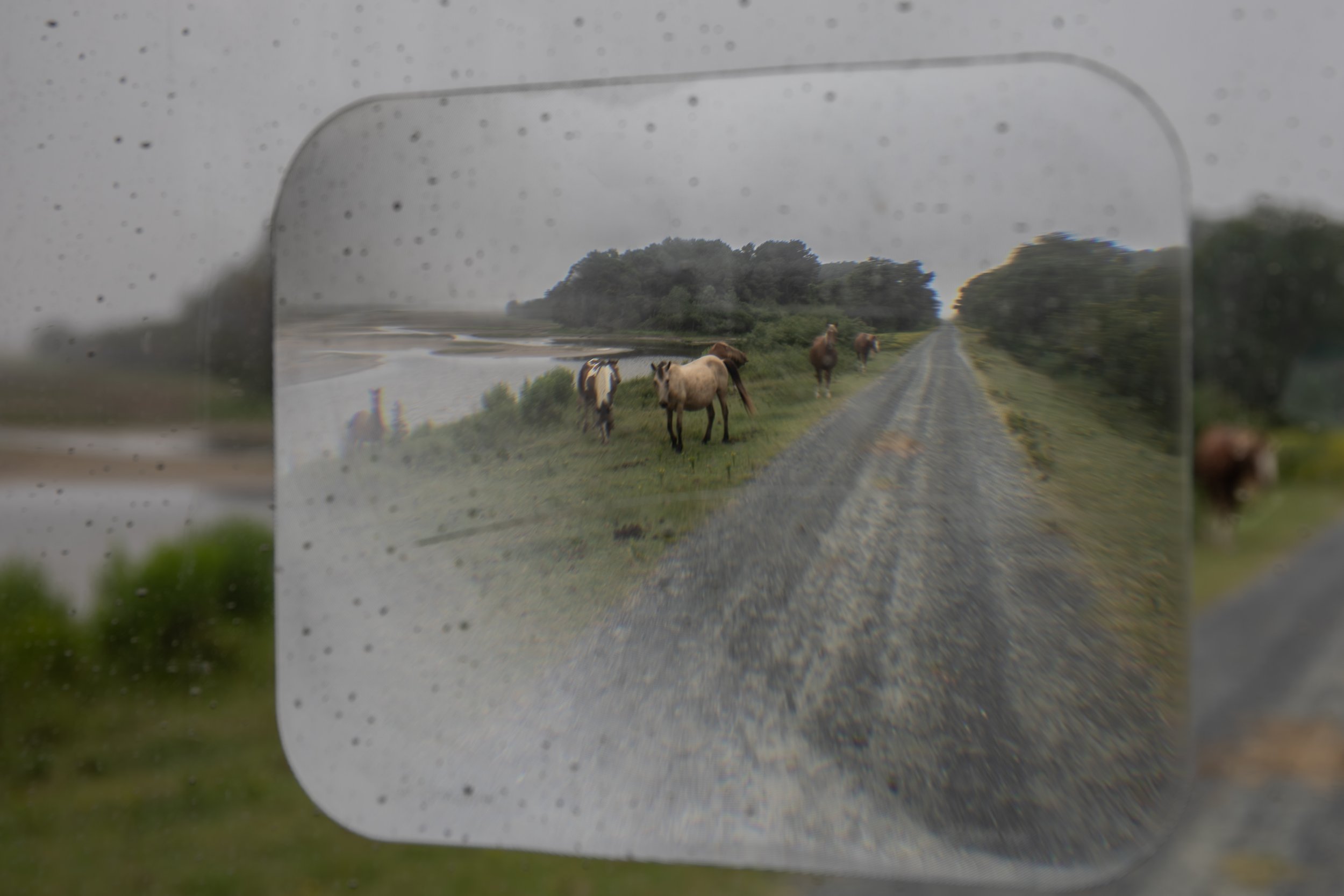 Holensworth-July 18, 2026115218.jpg