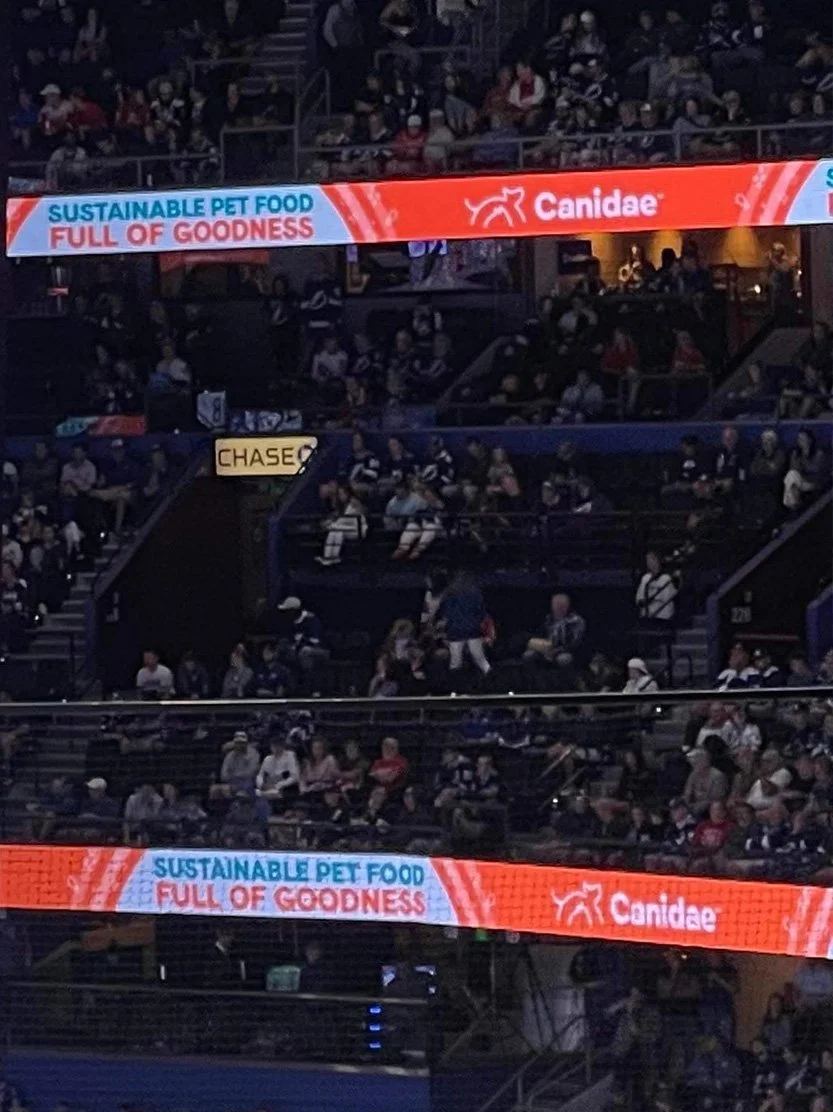 Canidae+NHL_arena_3rd 833 x 1112.jpg