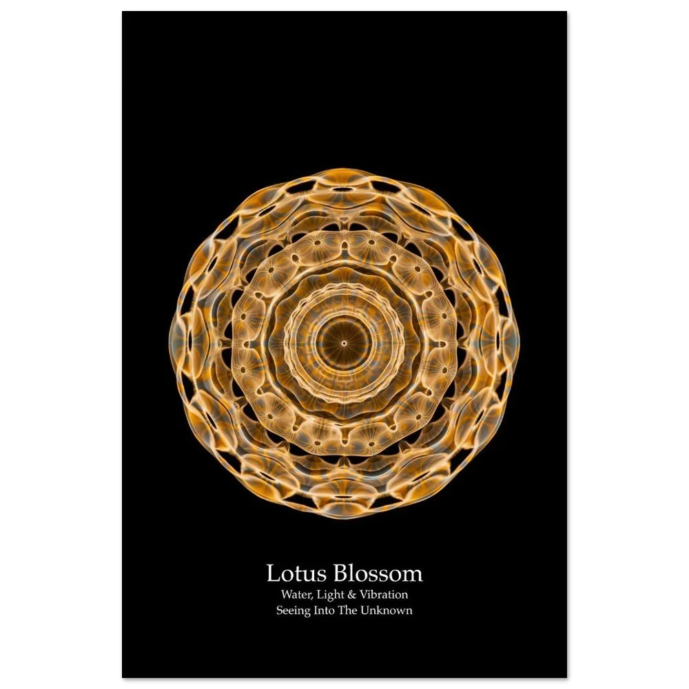 LOTUS BLOSSOM CYMATICS POSTER
