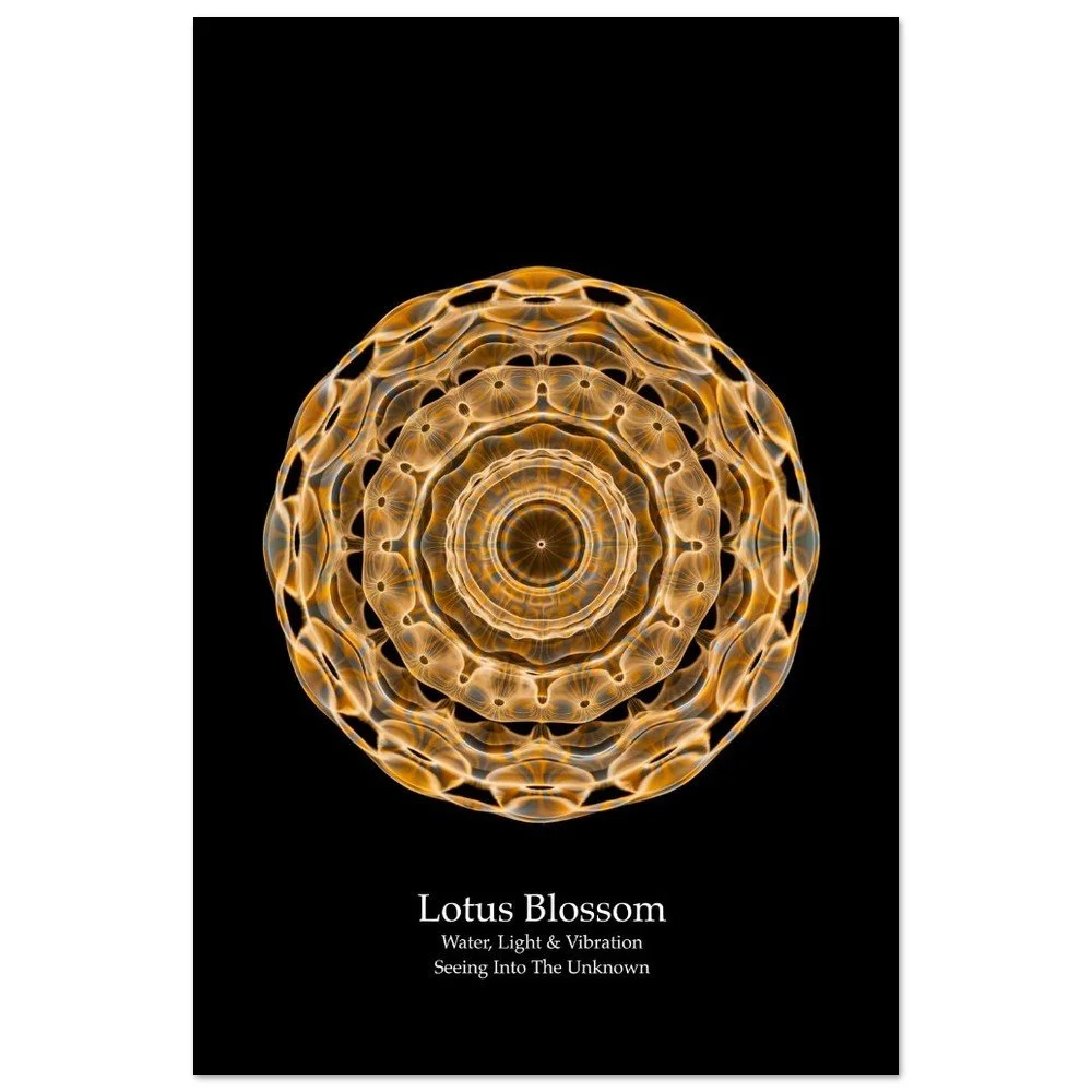 LOTUS  BLOSSOM  CYMATICS  POSTER