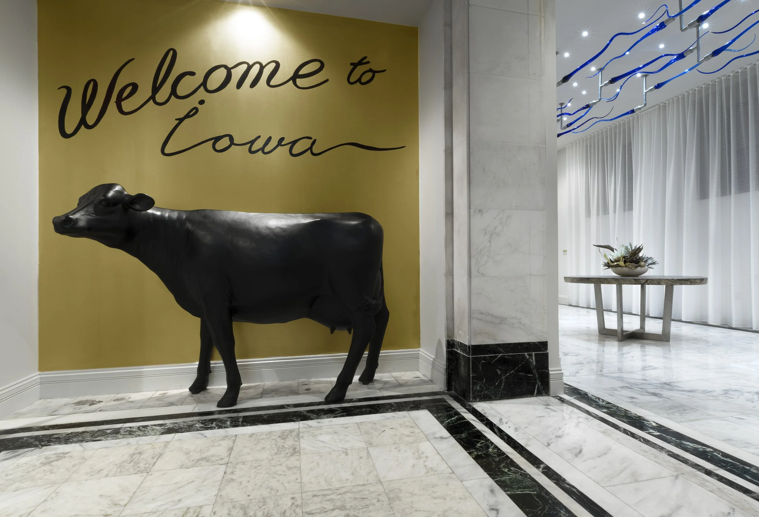 moocow.jpg