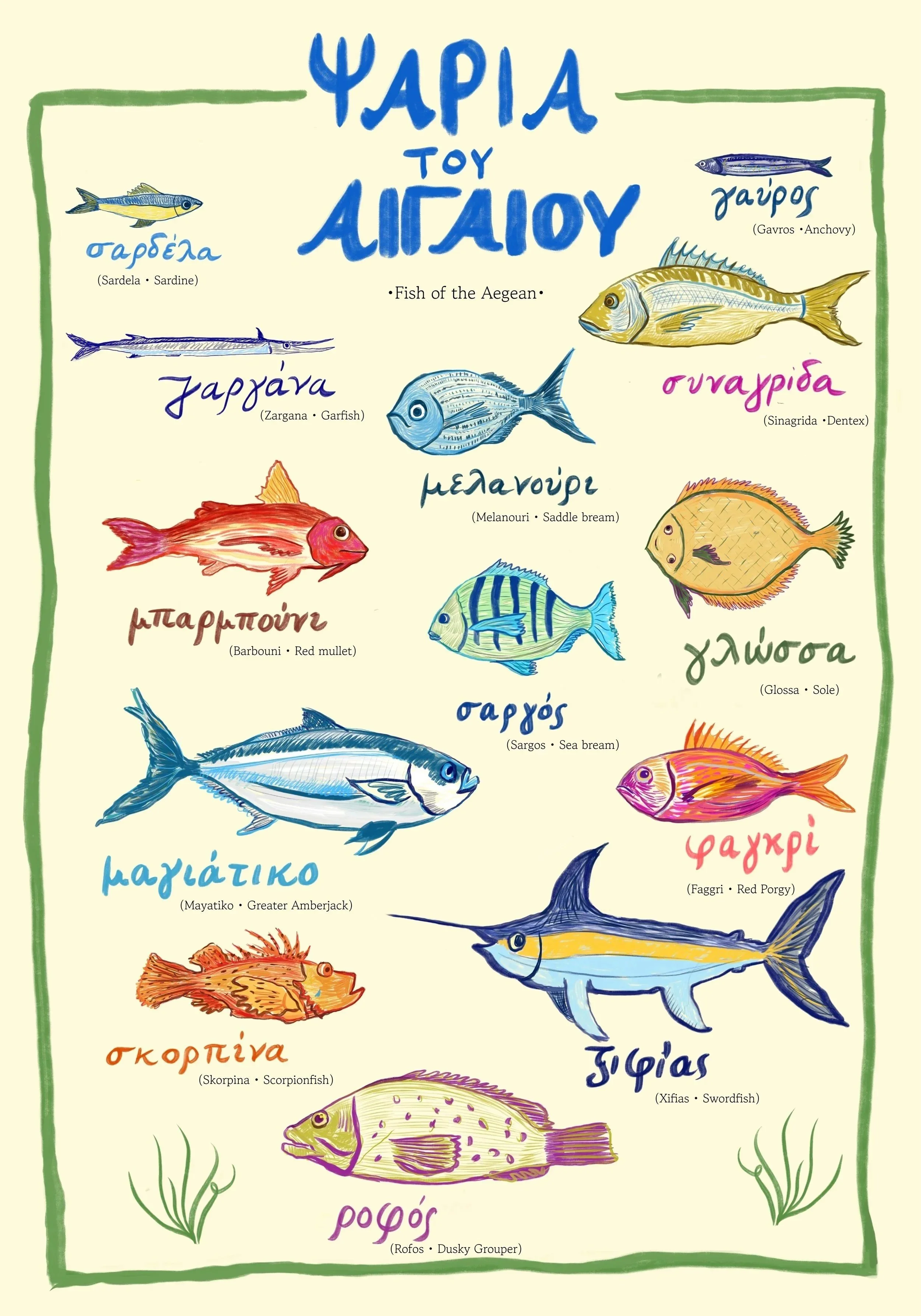 Aegean%2BFish%2B-%2BPoster%2B-%2BM%2B%252850%2Bx70cm%2529.jpg