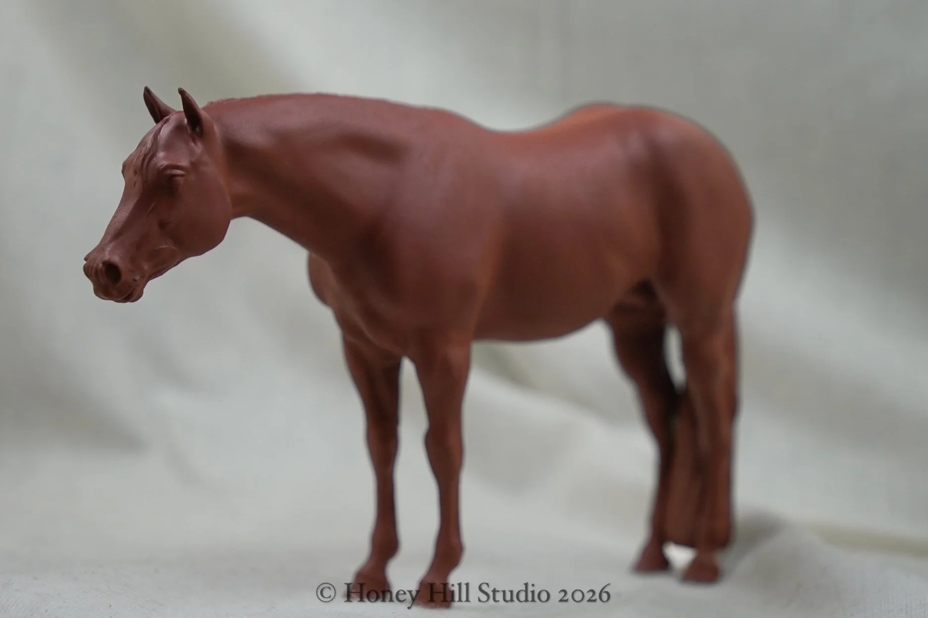 26ag_models-03.jpg