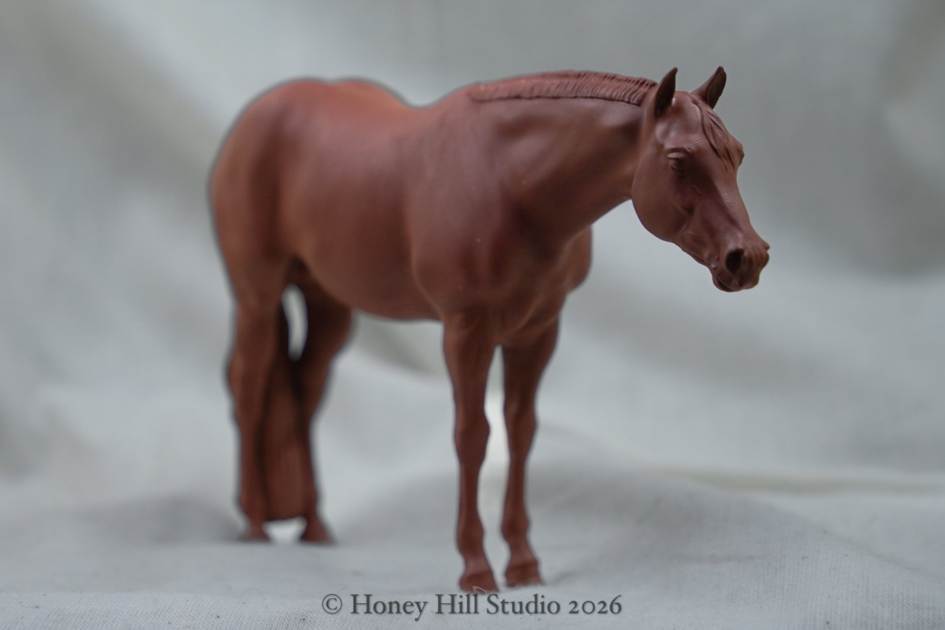 26ag_models-02.jpg