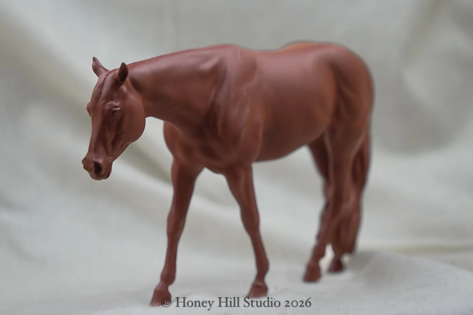 26ag_models-10.jpg