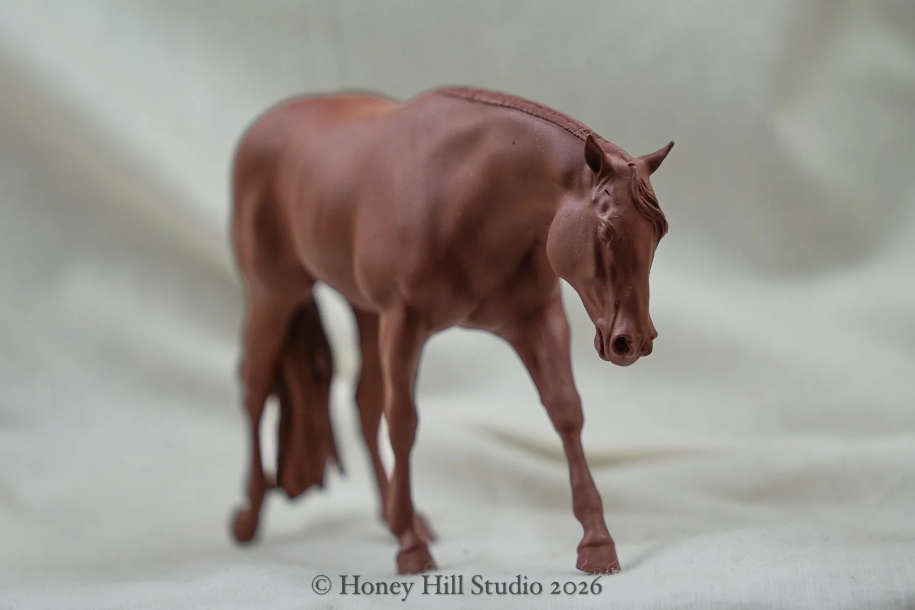 26ag_models-19.jpg