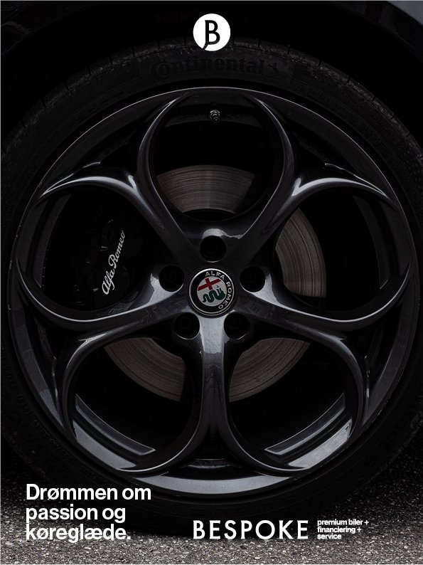 Bespoke_v110.jpg