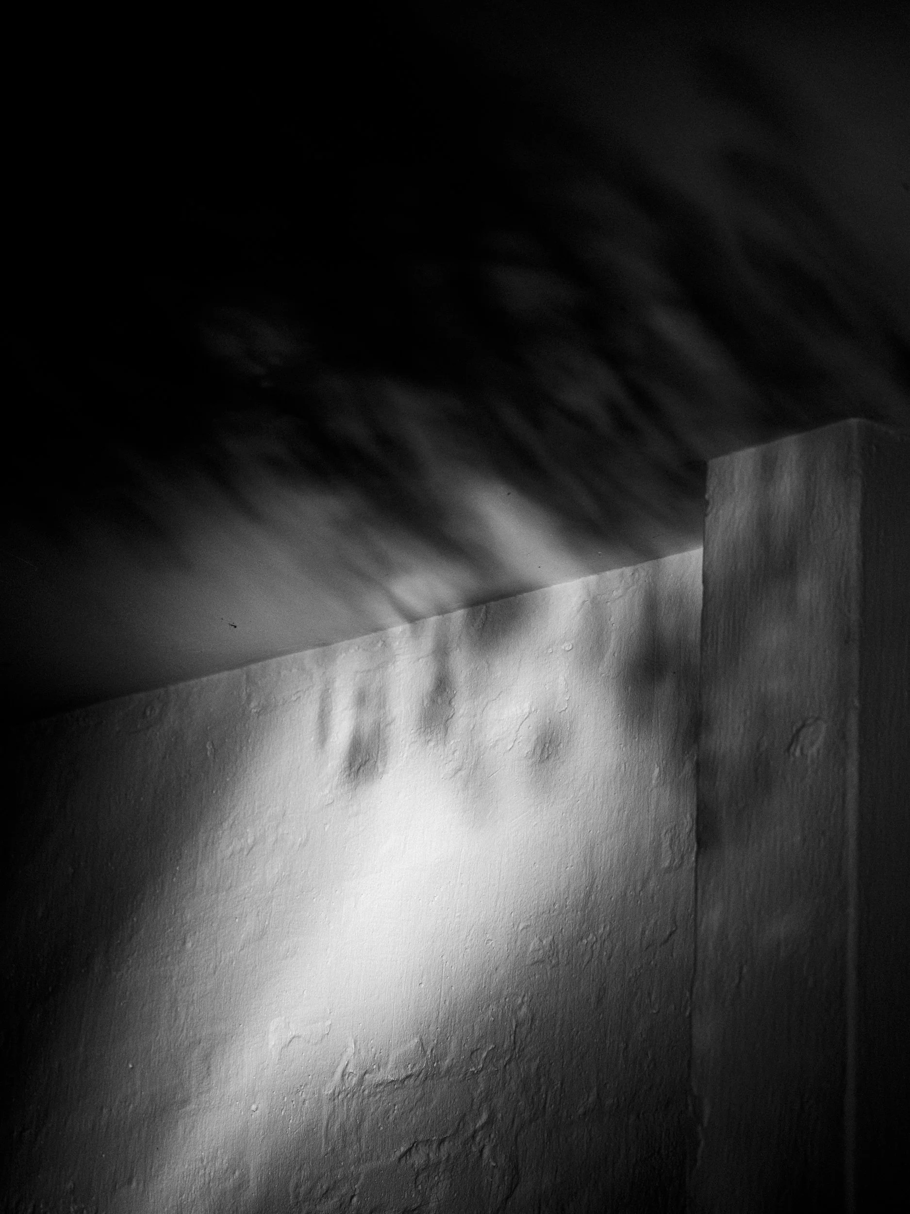 DSCF8414.jpg